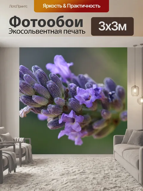 Фотообои Лаванда