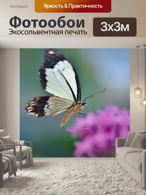 Фотообои Бабочка