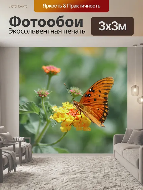 Фотообои Красивая бабочка