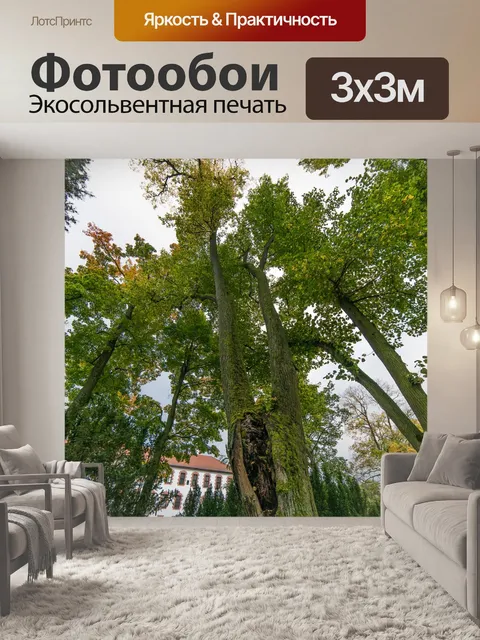 Фотообои Дерево
