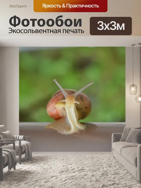 Фотообои Природа