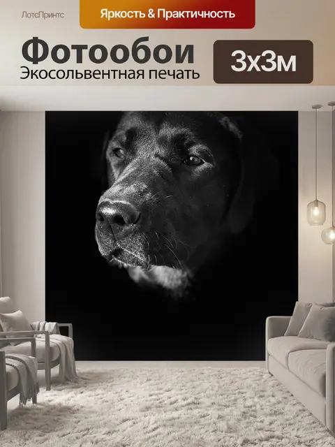 Фотообои Посмотреть