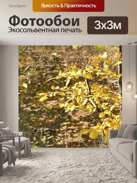 Фотообои Осень