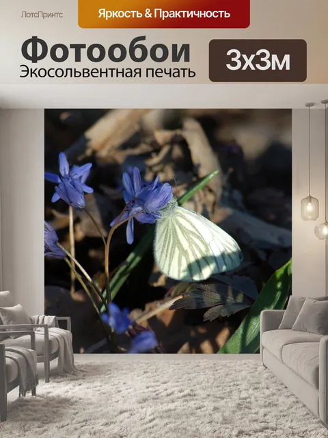 Фотообои Бабочка