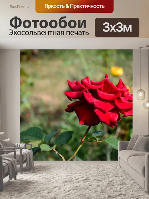 Фотообои Цветы