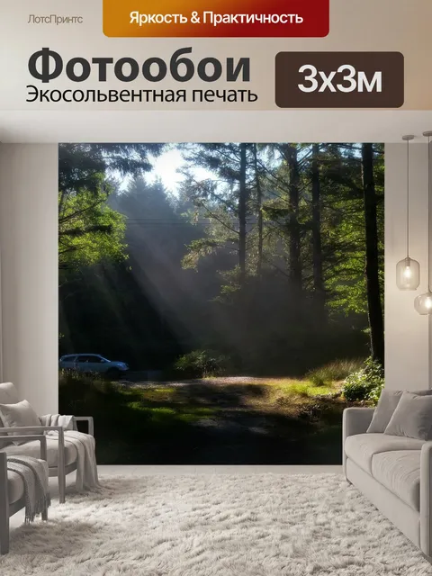 Фотообои Лес