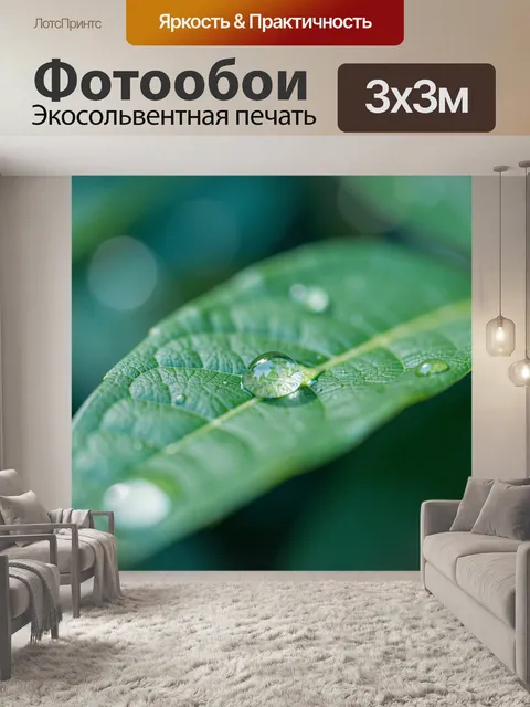 Фотообои Капля росы на листе