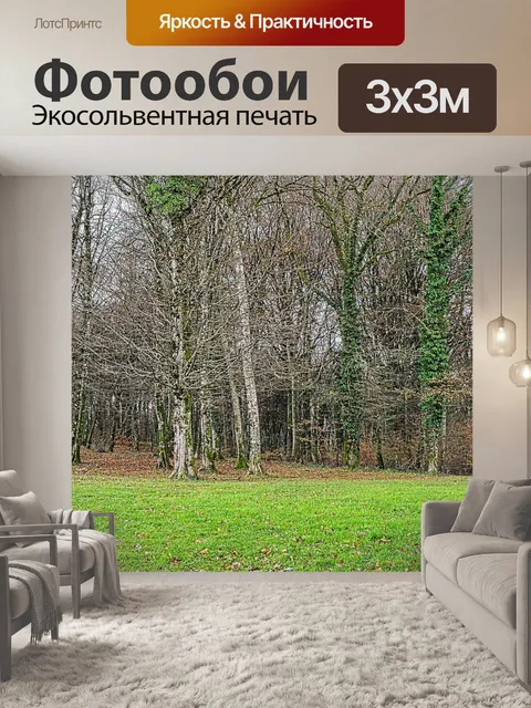 Фотообои Роща