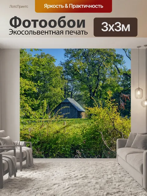 Фотообои Лес