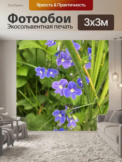 Фотообои Луг