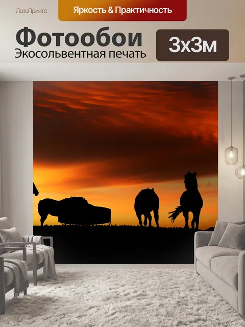 Фотообои Заход солнца