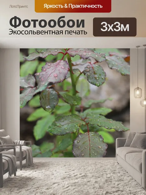 Фотообои Листья