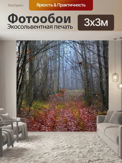 Фотообои Лес