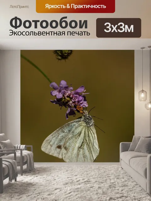 Фотообои Белый