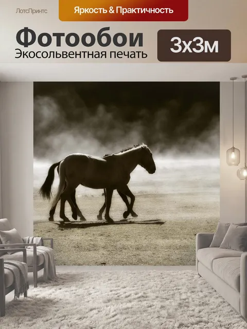 Фотообои Лошадь