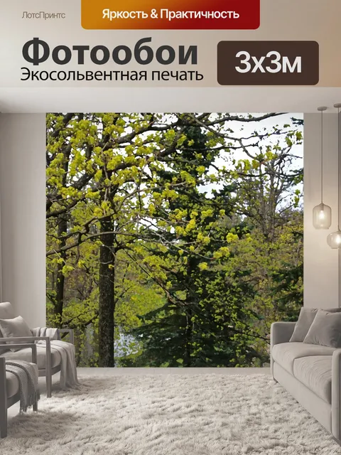 Фотообои художественный эффект на деревьях