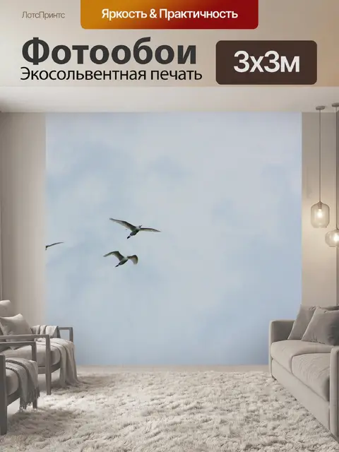 Фотообои Птицы