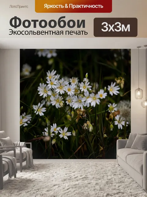 Фотообои Цветы