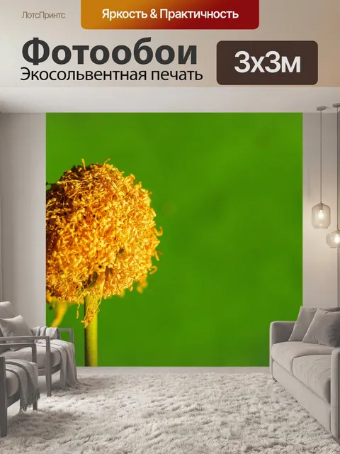 Фотообои Зеленое семя Белый цветок попинака