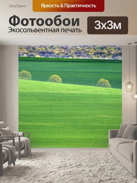Фотообои Поле