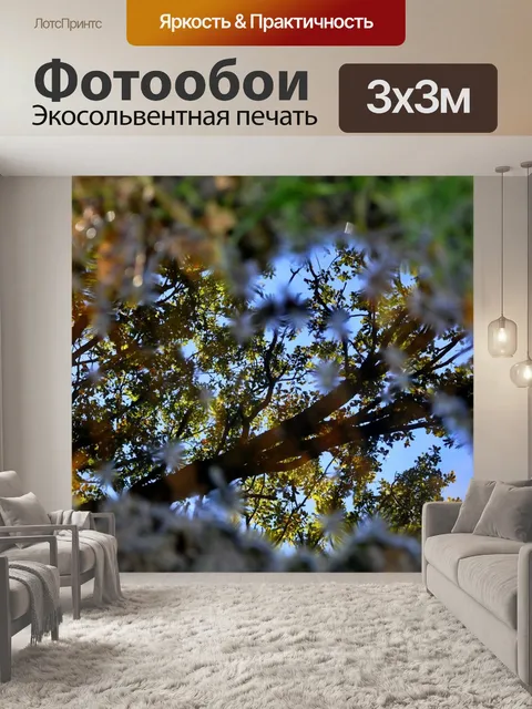 Фотообои Лес