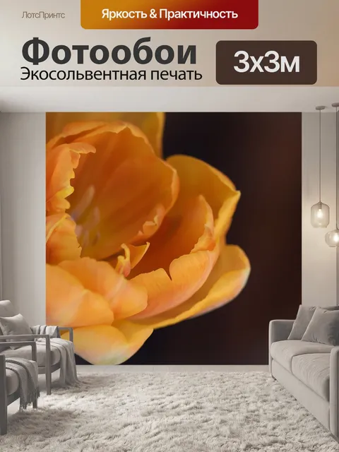 Фотообои Тюльпан