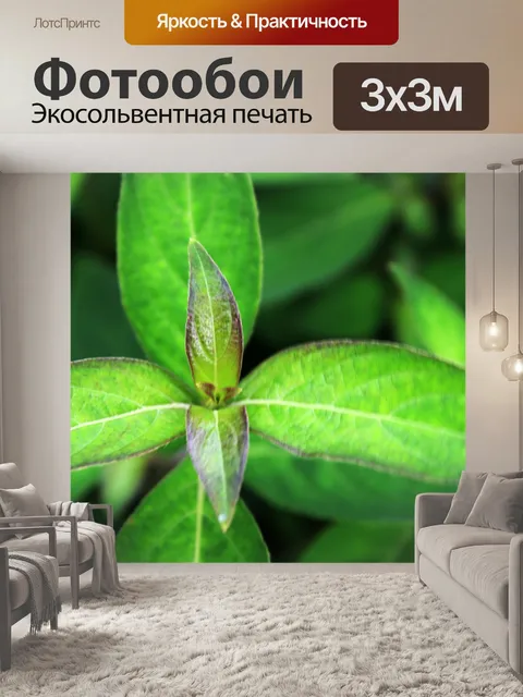 Фотообои листья
