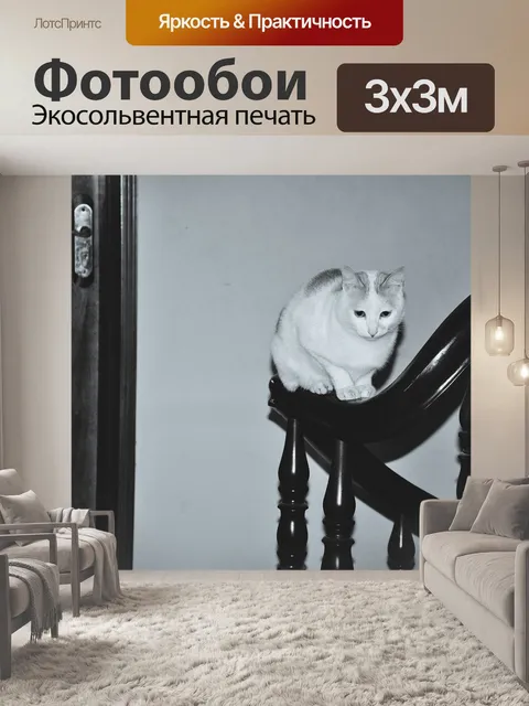 Фотообои Кошка