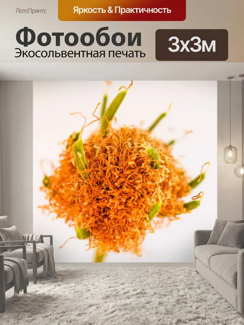 Фотообои Зеленое семя Белый цветок попинака