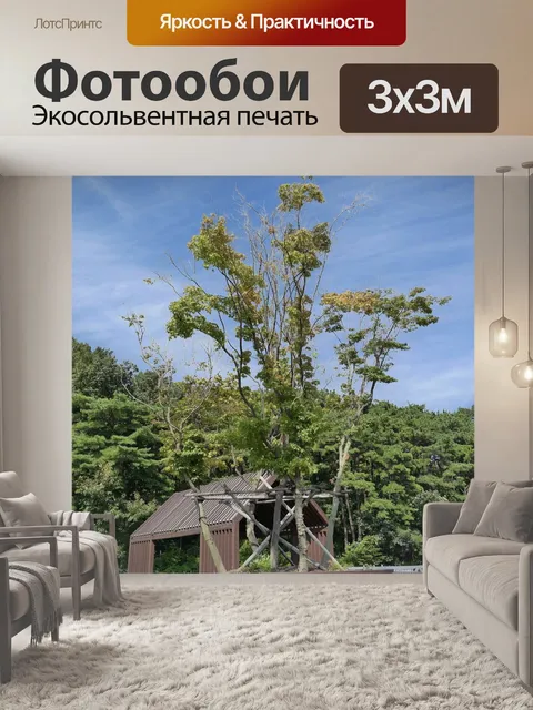 Фотообои Лес