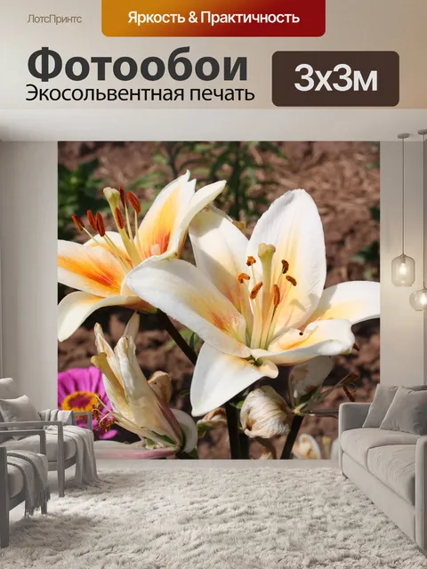 Фотообои Лилии