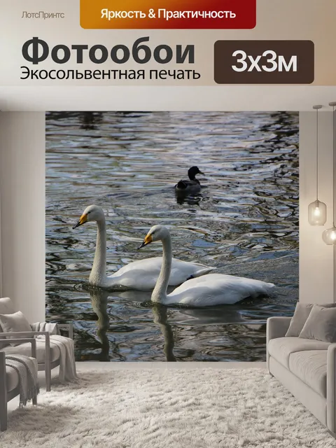 Фотообои Птица