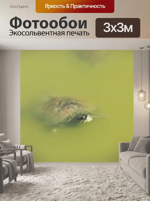 Фотообои Черепаха