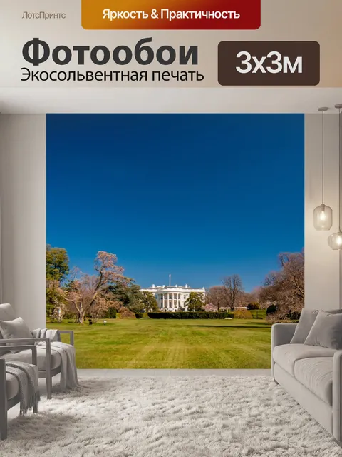 Фотообои Белый Дом