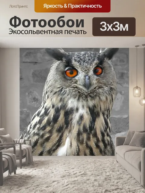 Фотообои Птица