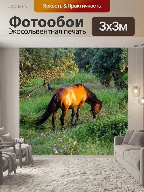 Фотообои Лошадь
