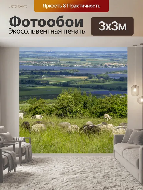 Фотообои Овцы на горе
