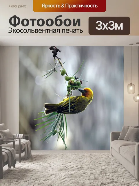 Фотообои Зяблик