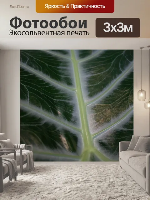 Фотообои Текстура