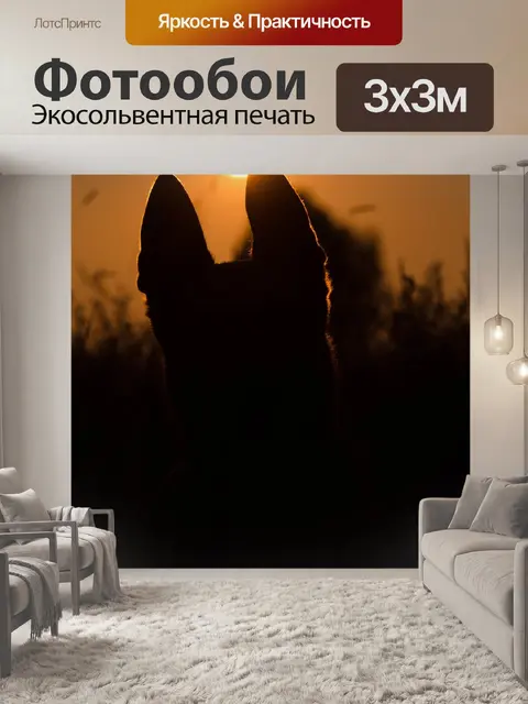 Фотообои Летом