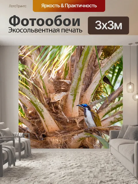 Фотообои Птица