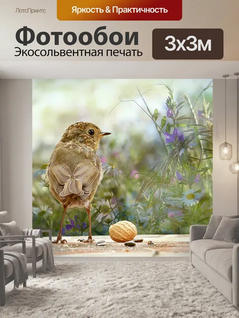 Фотообои Животное
