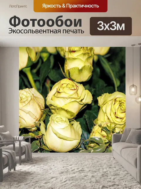Фотообои Желтые Розы