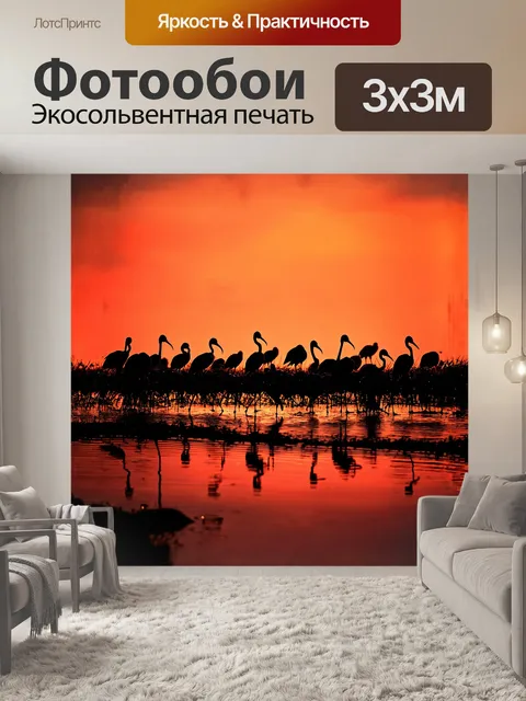 Фотообои стая северных лысых ибисов, собравшихся на краю болота, их темные силуэты прочерчивают яркий закат