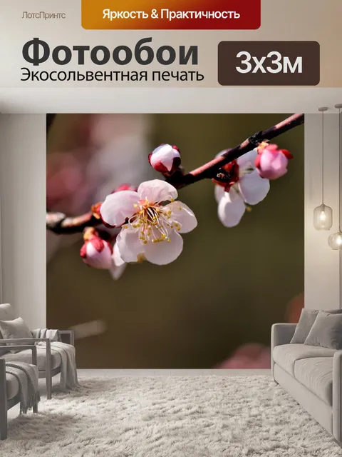 Фотообои Вишни в цвету