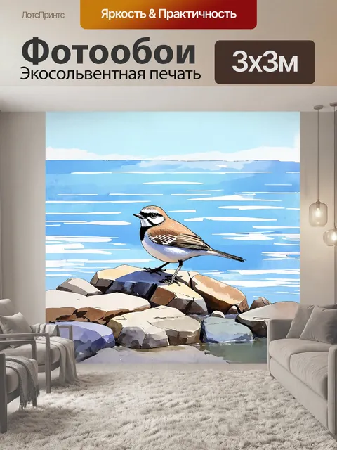 Фотообои пуночка на скалистом берегу северного моря