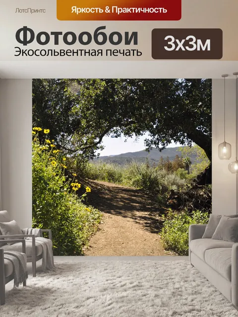 Фотообои Туризм Путь
