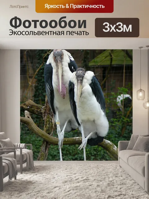 Фотообои Гриф