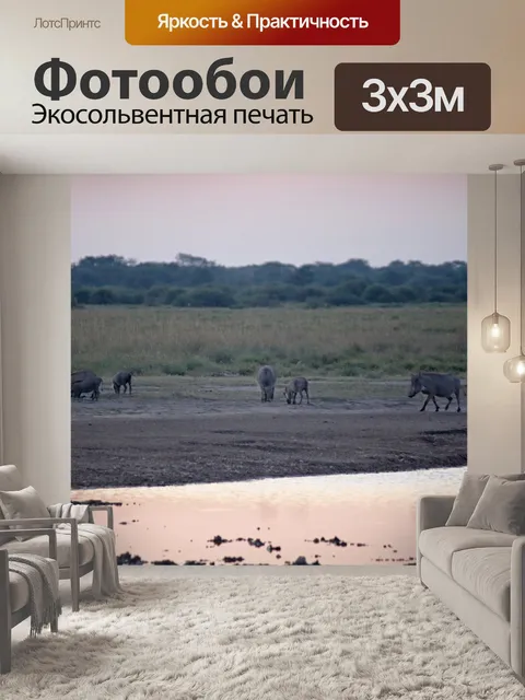 Фотообои бородавочники в сумерках с закатом