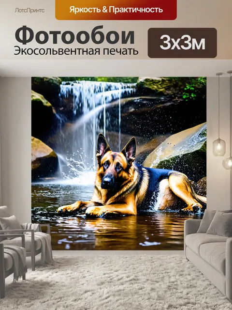 Фотообои немецкая овчарка, лежащая на мокром камне у водопада, свежая вода стекает и создает брызги света вокруг